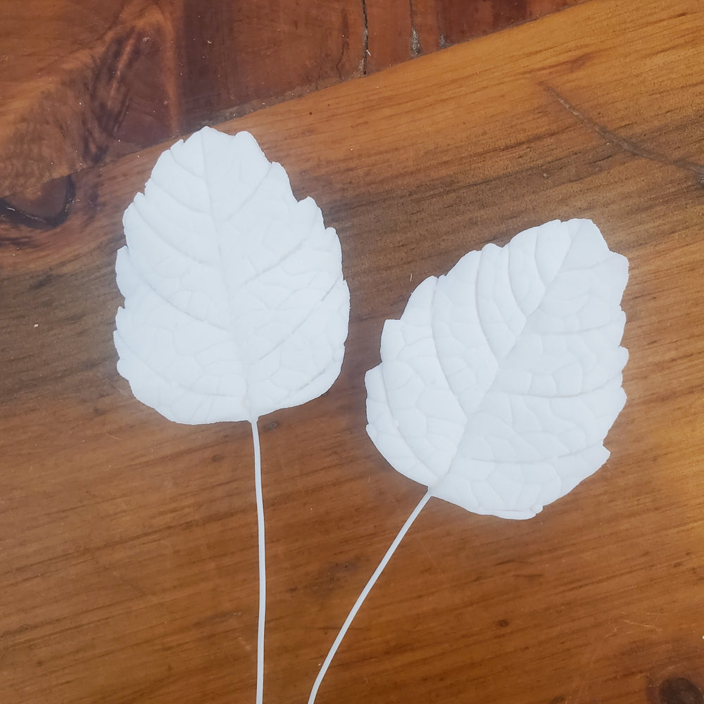 Rose Leaves - White